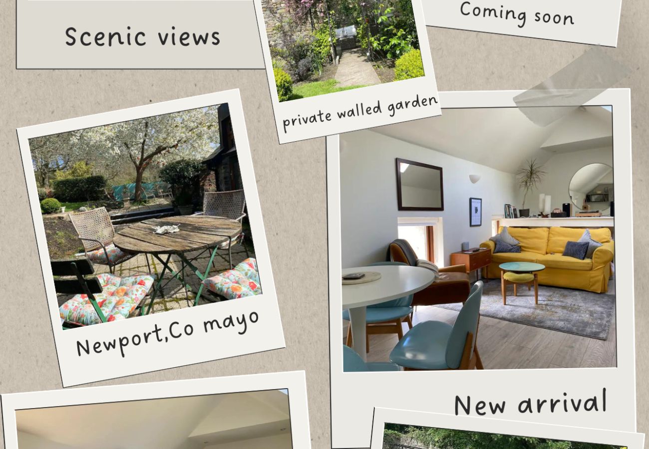 House in Newport - Unique & Stylish Home In Newport